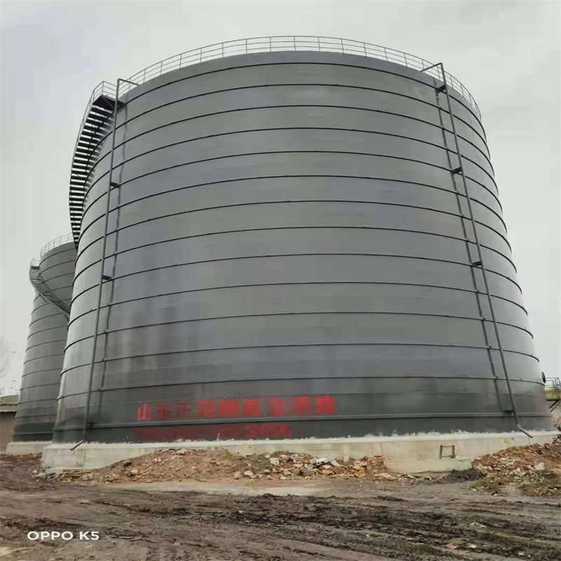 沛县3万吨大型钢板库